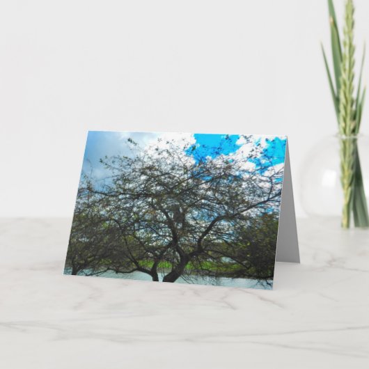 時間カードのテスト カード (正面)