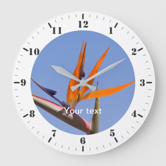 時間マーカーと分ダイヤルでパーソナライズ ラージ壁時計 (正面)