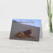 時間及び潮 カード (正面)