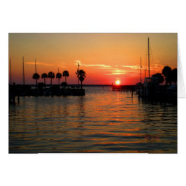 "時間"の中断しますダニディンのマリーナ