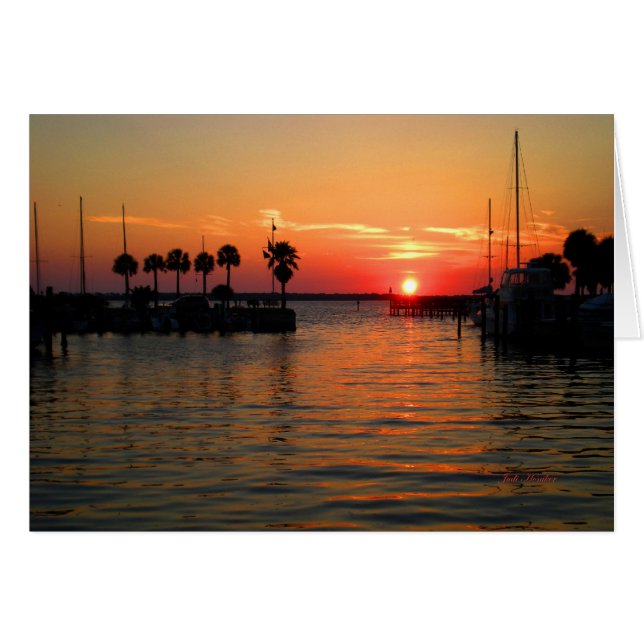 "時間"の中断しますダニディンのマリーナ (正面横)