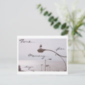 時間…ハエだ。メモリ…滞在。 ポストカード (スタンド正面)