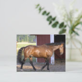 時食べ物を与え間 ポストカード (スタンド正面)