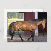 時食べ物を与え間 ポストカード (正面/裏面)