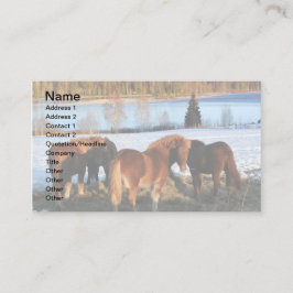 時食べ物を与え間 名刺