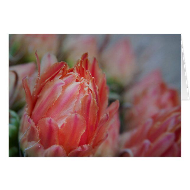 晩夏の恵み (正面横)