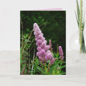 晩夏の記憶 カード (正面)