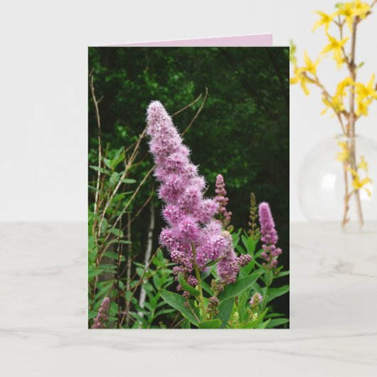 晩夏の記憶 カード (黄色い花)