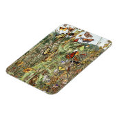 晩夏マグネット マグネット (左側)