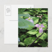 晩期トリリウム ポストカード (正面/裏面)