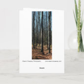 晩秋の木々:デジタル化された森 カード (裏面)