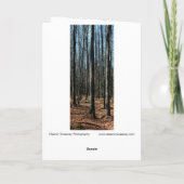 晩秋の木々：デジタル化された森 カード (裏面)