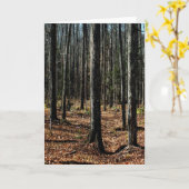 晩秋の木々：デジタル化された森 カード (黄色い花)