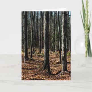 晩秋の木々：デジタル化された森 カード
