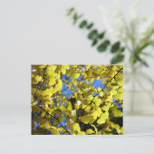 晩秋の銀杏の葉: 日本 ポストカード (スタンド正面)