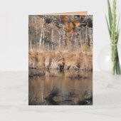 晩秋 カード (正面)