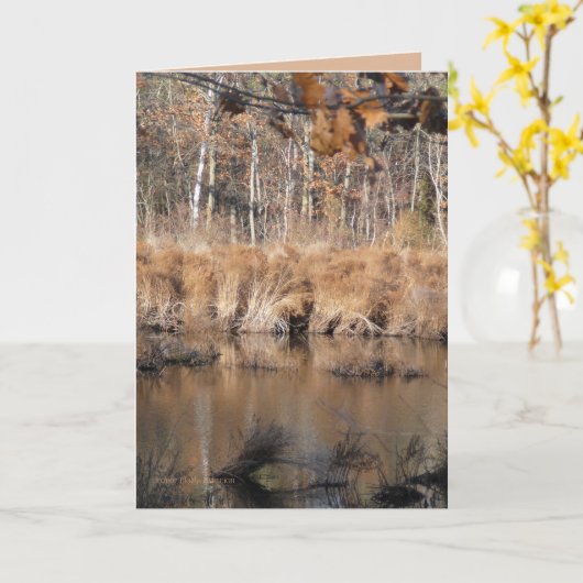 晩秋 カード (黄色い花)