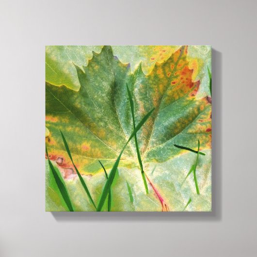 晩秋 キャンバスプリント (正面)