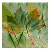 晩秋 ポスター (正面)