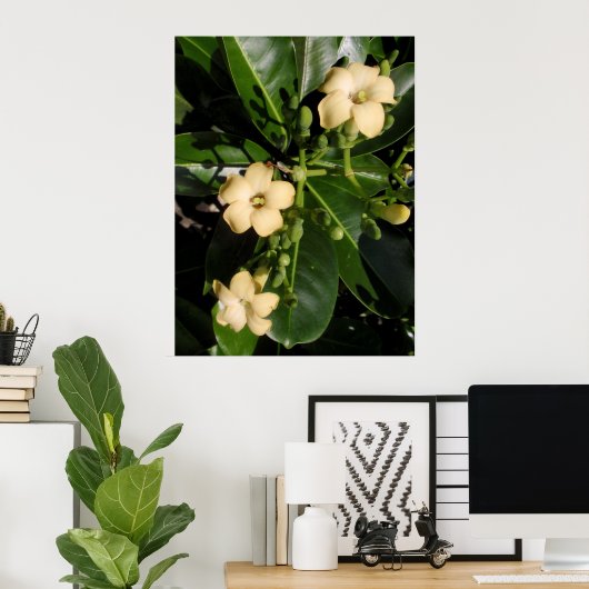 普明池井 ポスター (ホームオフィス)