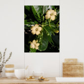 普明池井 ポスター (キッチン)