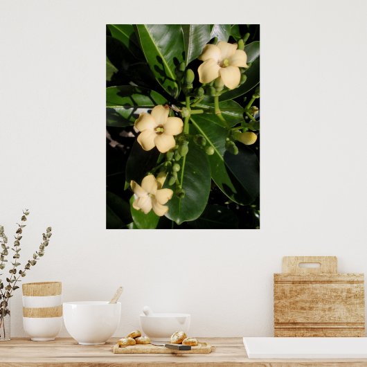 普明池井 ポスター (キッチン)