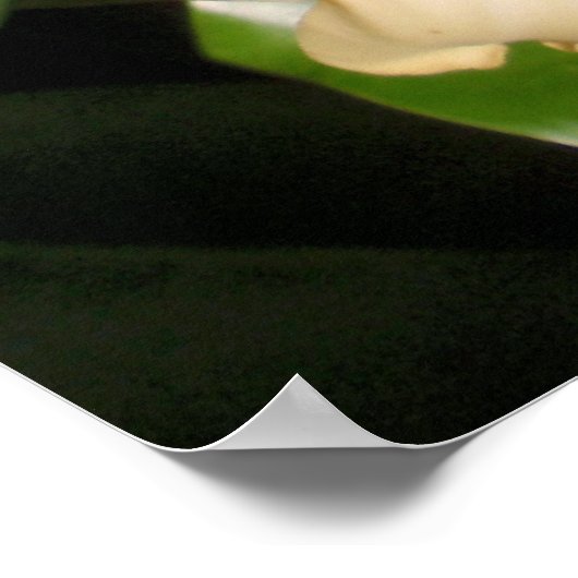 普明池井 ポスター (角)