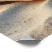 普通の旅 ポスター (角)