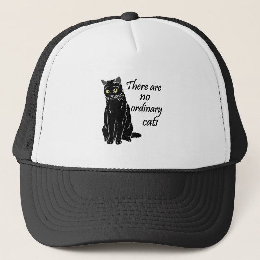 普通の猫はいない キャップ (正面)