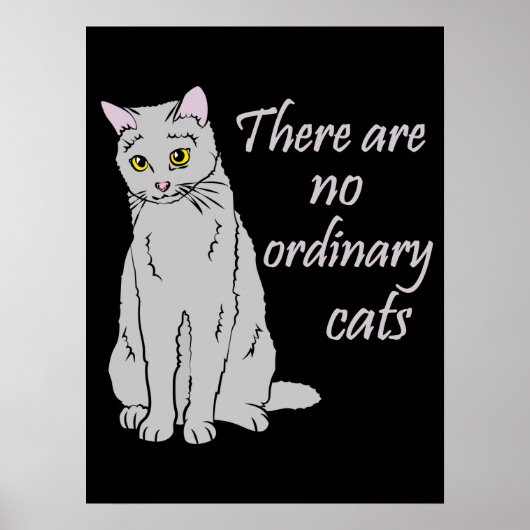 普通の猫はいない – グレー猫 ポスター (正面)