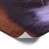 普通の猫はいない ポスター (角)