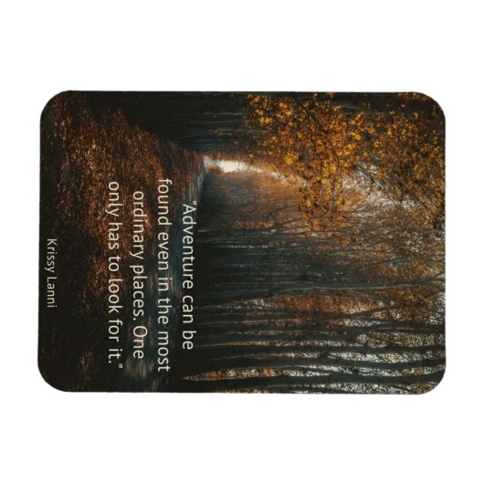 普通の磁石で冒険す感動的る マグネット (横)