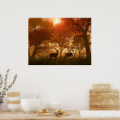 普通の部屋 ポスター (キッチン)