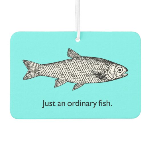 普通の魚の空気清浄剤 カーエアーフレッシュナー (正面)