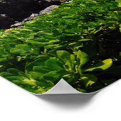 景勝地のハワイアンコーストポスター ポスター (角)