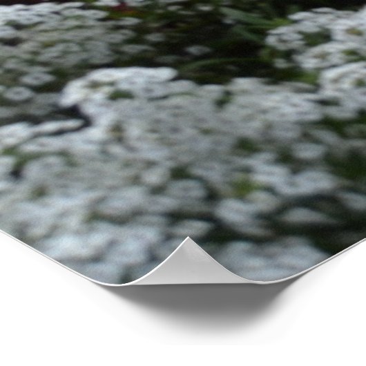 景勝地フランスのポスター ポスター (角)