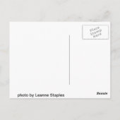 景澄ん観 ポストカード (裏面)