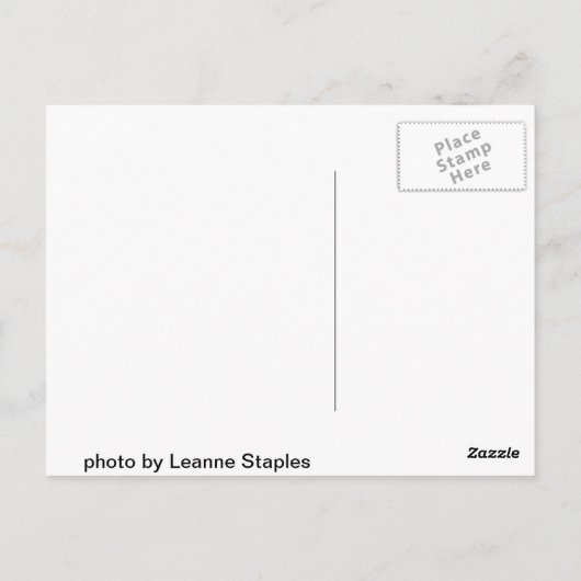 景澄ん観 ポストカード (裏面)