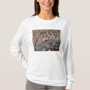 景色の三次元概観 Tシャツ