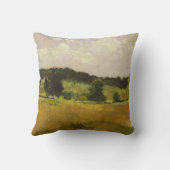 景色の勉強 クッション (裏面)