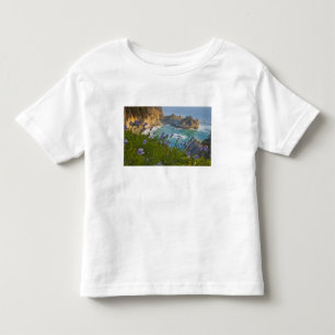 景色の良いMcWay Fallsがビーチと トドラーTシャツ