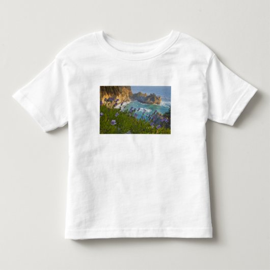 景色の良いMcWay Fallsがビーチと トドラーTシャツ (正面)