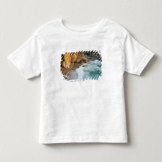 景色の良いMcWay Fallsがビーチと トドラーTシャツ (正面)