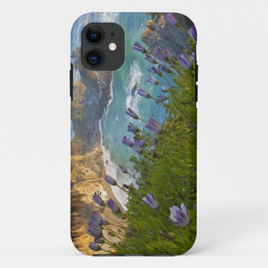 景色の良いMcWay Fallsがビーチと Case-Mate iPhoneケース (裏面)