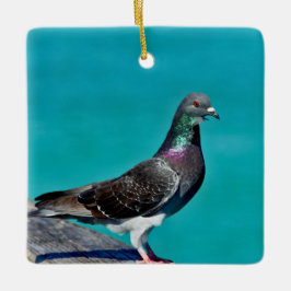 景色を楽しむ鳩 セラミックオーナメント