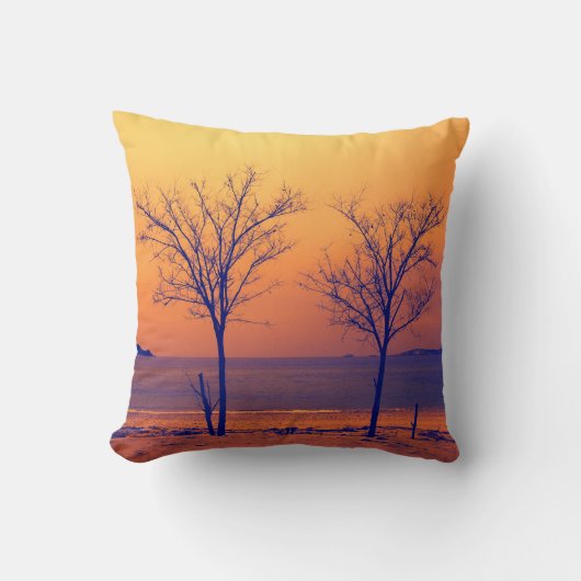 景色 クッション (正面)