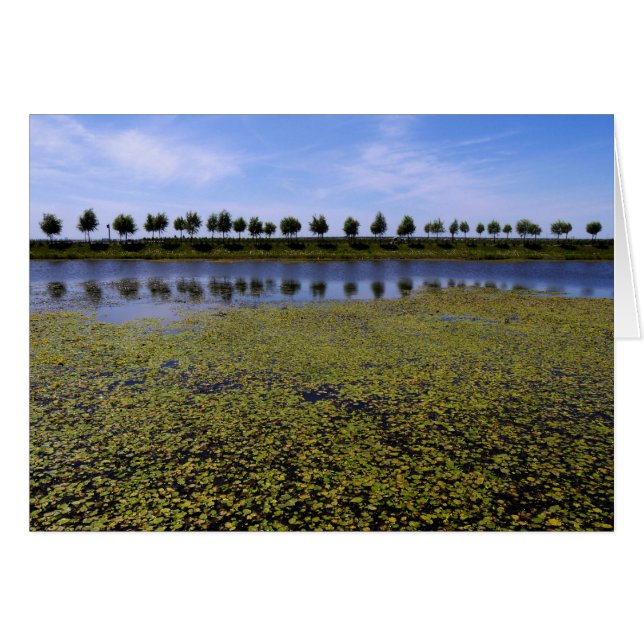 景観水景 (正面横)