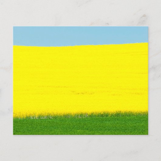 景観草原 チラシ (正面)