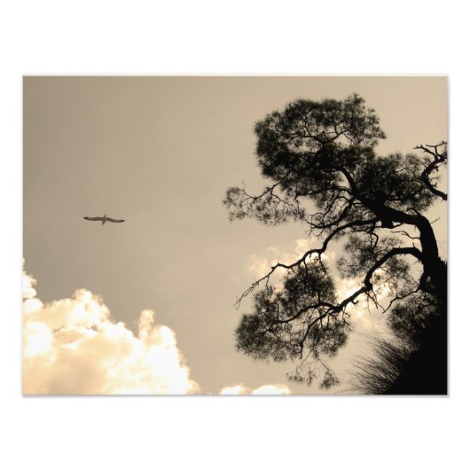 景観 フォトプリント            (正面)