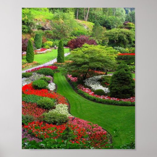 景観 ポスター (正面)